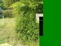 IMG_20250607_082413