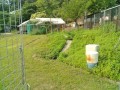 IMG_20250607_082440