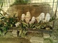 IMG_20250607_082750