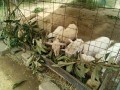 IMG_20250607_082754