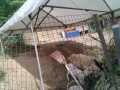 IMG_20250607_082808
