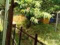 IMG_20250607_082813