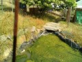 IMG_20250607_082852