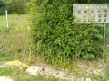 IMG_20250608_090002