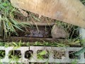 IMG_20250608_090013
