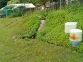 IMG_20250608_090103