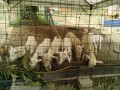 IMG_20250608_090238
