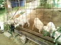 IMG_20250608_090252