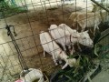 IMG_20250608_090301