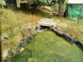 IMG_20250608_090346