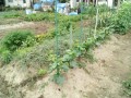 IMG_20250608_122353