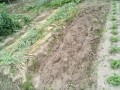IMG_20250608_122411