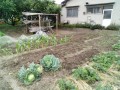 IMG_20250608_122420
