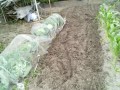 IMG_20250608_122427