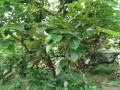 IMG_20250608_122434