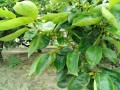 IMG_20250608_122520