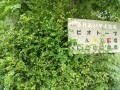 IMG_20250609_091329