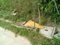 IMG_20250609_091330