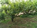IMG_20250609_112645