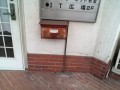IMG_20250609_124355