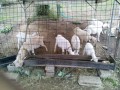 IMG_20250609_170452
