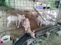 IMG_20250609_170509