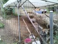 IMG_20250609_170516
