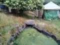 IMG_20250609_170558