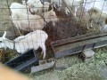 IMG_20250610_100741