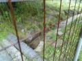 IMG_20250610_100925