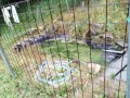 IMG_20250610_100928