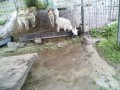 IMG_20250610_103205