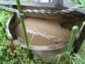 IMG_20250610_104700