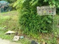 IMG_20250611_104544
