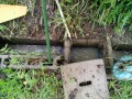 IMG_20250611_104555