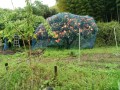 IMG_20250611_104621