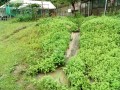 IMG_20250611_104640