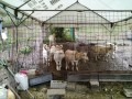 IMG_20250611_104731