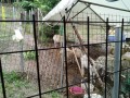IMG_20250611_104806