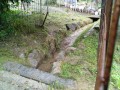 IMG_20250611_104856