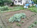 IMG_20250611_112512