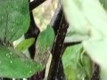 IMG_20250611_112547