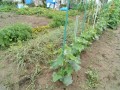 IMG_20250611_114640