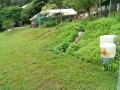 IMG_20250612_093039