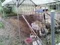 IMG_20250612_094248