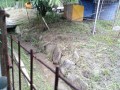 IMG_20250612_094251