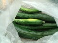 IMG_20250612_111056