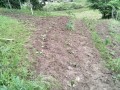 IMG_20250612_181317