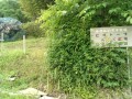 IMG_20250613_083601
