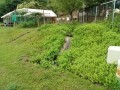 IMG_20250613_083654